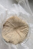 利仁（Liven）磨粉机磨豆机电动咖啡豆研磨机辅食机家用小型粉碎机超细五谷杂粮打粉分体可拆洗料理机 MFJ-W317 实拍图