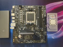 AMD 锐龙R5 7500F搭微星PRO B650M-B 游戏办公电脑主板 CPU主板套装 板U套装 实拍图