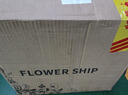 FLOWER SHIP母婴多效洗衣液16斤(2kg*4瓶)孕妇婴儿专用温和无刺激无残留 实拍图