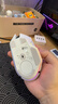 雷蛇（Razer）巴塞利斯蛇V3专业版 35K 无线鼠标 人体工学设计 RGB幻彩灯效 吃鸡/LOL/CS GO游戏 白色 实拍图