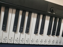 特伦斯电钢琴88键折叠电子琴儿童成人电子钢琴专业演奏便携式钢琴X88C 实拍图