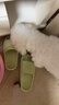 派迪诺（PAIDINUO）宠物猫咪狗狗泪痕片猫犬流眼泪眼屎万寿菊叶黄素护眼明目 200片 实拍图