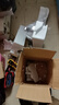 房太太 中药打粉机家用商用磨粉机不锈钢粉碎机三七研磨机小型五谷杂粮超细药店打药材辣椒电动干磨机器 【新旋盖】2500克304不锈钢【加硬钢刀】 实拍图