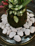 大海边【12仓速发】5斤鹅卵石铺路铺地庭院园林造景天然大小石头雨花石 精抛白色2.0-3.0cm【5斤装】 实拍图
