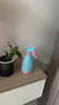 喷壶小型喷壶器浇花洒水壶糖果色喷壶喷水工具 糖果蓝色（1个装） 实拍图