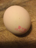 黄天鹅旗舰店正品黄天鹅可生食鸡蛋无沙门氏菌营养品质鲜蛋礼盒中秋 30枚可生食鸡蛋【单枚约53g】 实拍图
