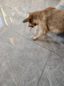 麦富迪狗狗零食 奢华营养鸭肉干400g成幼犬磨牙训练奖励解馋宠物零食 实拍图