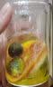 仲云堂孩子放心喝冷泡茶青桔柠檬百香果茶水果茶包红橙夏季饮独立包装 【多重VC】红橙青桔百香果茶 【超值优惠装+同款刻度杯】50包 实拍图