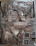 上鲜 鸡翅中 净重4斤 冷冻 出口级 鸡翅膀鸡中翅鸡肉烤鸡翅 清真食品 实拍图