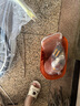 EG7自行车成人女士轻便单车通勤上班变速普通亲子复古男式 【基础款】单速-黄 26英寸【适合:155-175cm】 实拍图