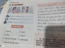 六品堂小学英语字帖衡水体四年级上册人教版同步手写体英语乐写字描红本 实拍图