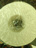 维达（Vinda）有芯卷纸【孙颖莎推荐】蓝色经典4层140克*27卷 卫生纸纸巾 整箱 实拍图