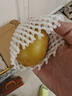 佳沛（zespri）新西兰 阳光金奇异果12粒礼盒特大果单果约122-146g 猕猴桃 水果 实拍图