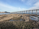 多利科（Dretec）日本量勺电子辅食茶叶药材勺固液两用烘焙中秋做月饼神器0.1g 实拍图