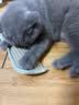阿柴与猫猫薄荷抱枕磨牙耐咬洁牙猫咪玩具糖果自嗨解闷黄麻猫抓板大号 实拍图