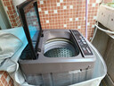 志高（CHIGO）全自动洗衣机 波轮宿舍迷你小型家用 洗烘一体 智能洗脱一体机 大容量 风干 【13Kg-玻璃面板-蓝光洗护-强动力电机】 实拍图