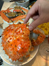 【活鲜】乐食港 俄罗斯鲜活帝王蟹 大螃蟹 帝皇蟹阿拉斯加 3.8-4.1斤/整只（鲜活发货） 实拍图