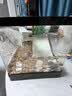 Barbarous Growth乌龟饲养缸生态造景家用带盖小型别墅爬台底部排水专用箱巴西龟缸 盖板+晒台+雨淋过滤+晒背灯+礼包 中号-30*18*18cm 黑色【防逃逸|加厚|加高】 实拍图