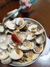 鲜京采 鲜活大文蛤 15-20粒/斤 净重3斤 蛤蜊花蛤生鲜海鲜 源头直发 实拍图