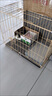 狗笼子中型大型犬室内带厕所边牧小型宠物笼狗狗拉布拉多金毛狗笼 【热销款】折叠款【61*42*50】适合15斤内 实拍图