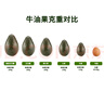 京鲜生 秘鲁进口牛油果 大果4粒装 单果130g+（非即食） 生鲜水果 实拍图