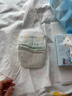 bebebus金标茶树精华成长裤L28片(9-14kg)透气超薄拉拉学步裤男女宝 实拍图
