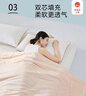 水星家纺大豆被子夏凉被双人空调被夏季可机洗夏被芯薄被200x230cm约3.4斤 实拍图