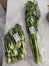 【24小时菜】大芹菜约400g 实拍图
