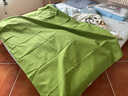 金号老粗布床单单件 加厚被单学生宿舍床上用品单件 200*230cm 嫩绿 实拍图