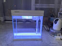 森森桌面鱼缸生态玻璃小型懒人免换水家用缸鱼缸一体缸自循环 【升级超白玻璃】250标配（带滤材滤棉） 实拍图