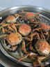 【活蟹】湖鲜阳澄大闸蟹公3.5-3.8两 母2.5-2.8两4对8只鲜活超大螃蟹礼盒装源头直发 实拍图