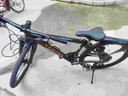 凤凰上海凤凰山地车自行车男士女式学生成人变速宽胎越野公路赛单车 铝架油刹/全套竞速轴承/三刀消黑 26寸24速【建议身高158-188cm】 实拍图