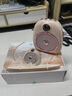 索爱（soaiy）S655小蜜蜂扩音器教师专用防啸叫10W大功率蓝牙音箱音响TF卡喇叭麦克风户外便携式导游导购教学 粉 实拍图