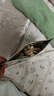艾唯倪（ivenet）米饼原味 宝宝儿童零食磨牙棒米饼饼干 韩国原装进口纯净配料 30g 实拍图