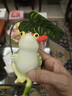 唐百媛撑伞乘凉青蛙阳台庭院花园鱼缸布置装饰摆件创意仿真动物造景摆设 7805撑伞青蛙 实拍图