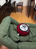 安定家人类狗窝懒人沙发可折叠卧室客厅沙发床巨大阳台单人榻榻米躺椅 墨绿色*【亲肤灯芯绒】/顺丰上门 【136*86】*加大款丨带对大抱枕 实拍图