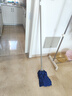 科力邦（Kelibang） 拖把 环卫公司木地板传统墩布头 工厂酒店大堂超细纤维吸水拖布 蓝色 KB1211 实拍图