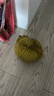 榴恋莱新鲜泰国进口金枕榴莲水果鲜榴莲时令 巴掌新鲜榴莲水果 精选净重4.1-5.1斤装（1-2个） 实拍图