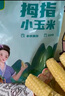 傣小瓜 拇指小玉米云南即食香糯手指玉米棒甜玉米杂粮轻食代餐早餐食品 拇指玉米500g*2袋【2斤】 实拍图