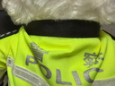 蜀黍家交警小熊公仔警察小熊正品反光条骑行服玩偶毛绒小熊礼品采购定制 畅畅（高25CM无墨镜 礼品袋） 默认款 实拍图
