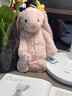 Jellycat花布邦尼兔动物毛绒玩偶兔子玩偶儿童礼物娃娃生日新婚礼物 彻蕊（胭脂粉色） Medium 实拍图