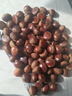 丹东板栗新鲜当季东北特产野生锥栗大果甜糯毛栗子现摘整箱包邮 单果22mm+ 250g 实拍图