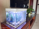 森森（SUNSUN）超白鱼缸一体缸自循环客厅水族箱桌面家用懒人免换水小型金鱼缸 超白HEJ380标配+水溶景 实拍图