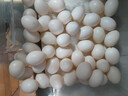 绿田逐新鲜农家精选鸽子蛋30枚 550g孕妇食物生鲜蛋礼盒源头直发 实拍图