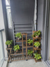 安尔雅 花架子室内外客厅阳台多肉植物架多层盆景架现代简约置物架 实拍图