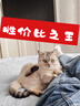 海尔（Haier）国家补贴20%双胆扁桶电热水器80升 BK3PRO 小魔盒鲜活水 净肤洗AI智慧 3300W速热免清洗镁棒免更换 实拍图