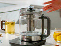 美的（Midea）纯钛养生壶 1.8L全自动大容量煮茶器烧水壶 纯钛茶篮 家用电热水壶花茶壶 恒温煮茶壶YS18P305-Ti 实拍图