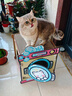 喵小元超大号猫抓板耐磨不掉屑猫窝一体四季通用猫沙发躺椅瓦楞纸美人靠 实拍图