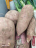 现挖沙地蜜薯空气炸锅红薯沙地板栗薯新鲜自种龙九正宗黄心香甜 沙地蜜薯 3斤 带箱 中大果 实拍图