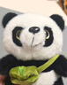 熊猫熊小熊猫玩偶儿童毛绒玩具娃娃花花大公仔生日礼物陪睡布娃娃抱抱熊 实拍图
